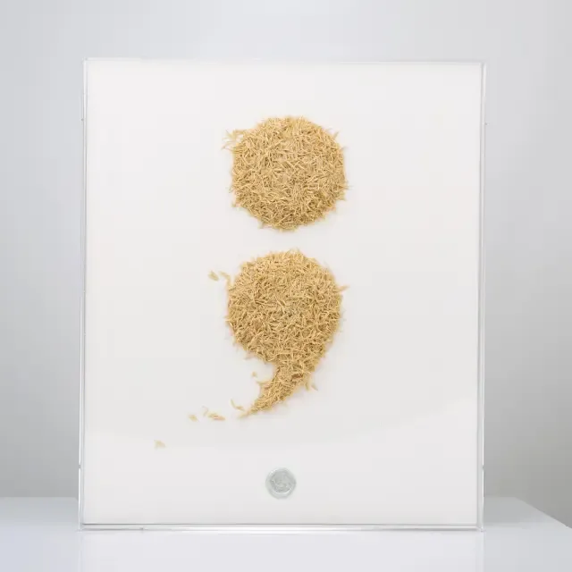 그다음 NEXT - [기호- ;]