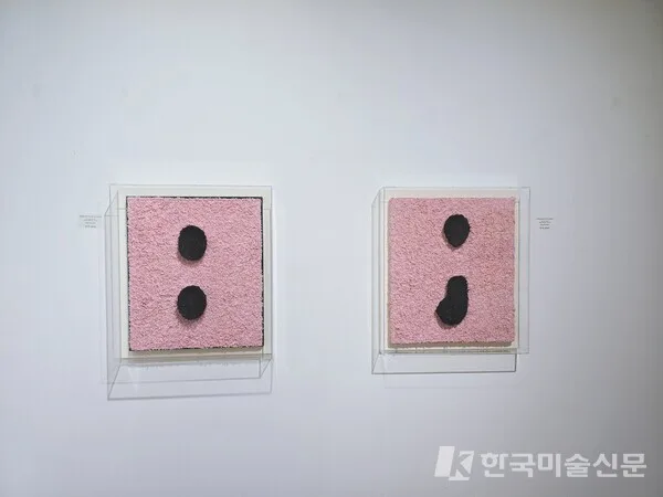 전시전경 (사진 제공. 엄미영 작가)